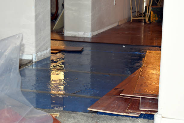 Professional Sewage Cleanup technician working in Arlington, OH