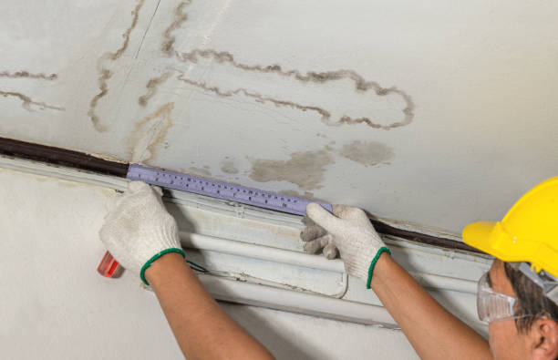 Reliable Sewage Cleanup contractor in Arlington, OH by Water Damage Irwin
